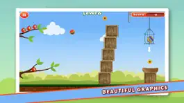 Game screenshot Cute Bird : Eggs hack