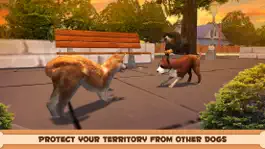 Game screenshot Shiba Inu Japanese Dog Simulator 3D apk