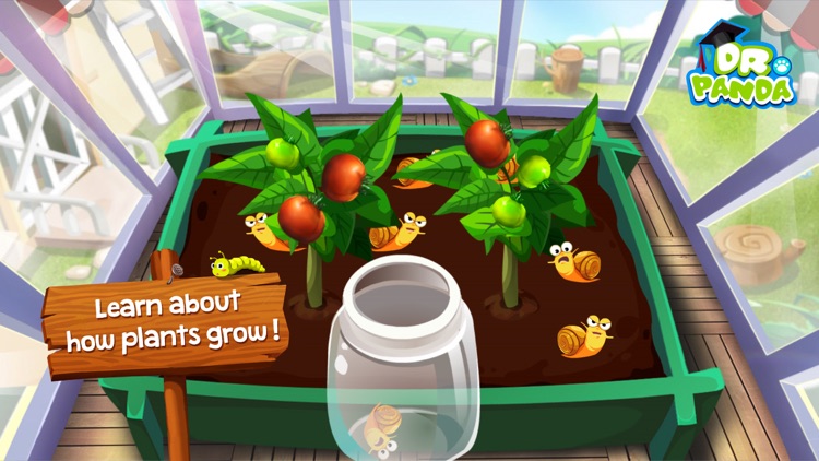 Dr. Panda Veggie Garden
