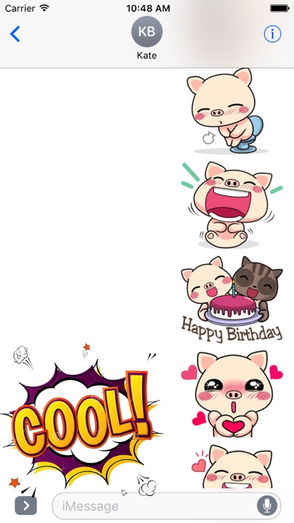 Pig and Cat Lovely Friend