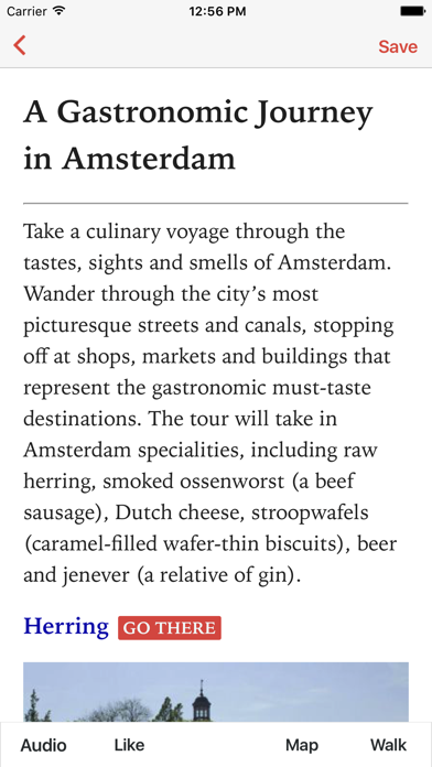 A Gastronomic Journey in Amsterdam Screenshot 1