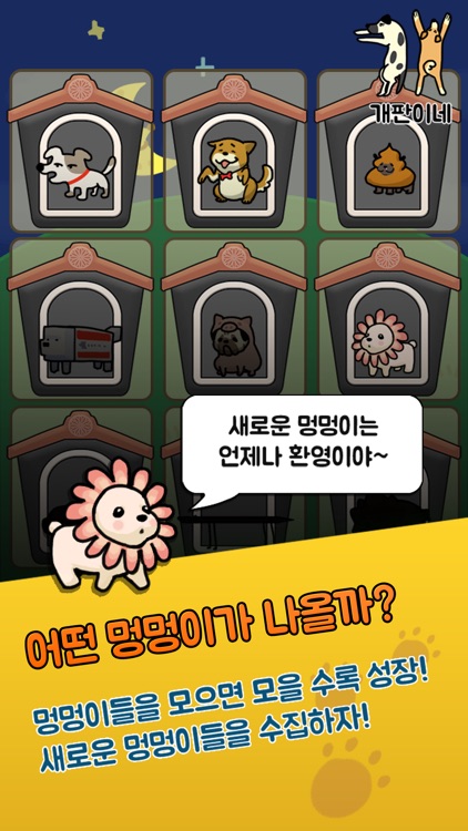 개판이네 - 강아지 키우기