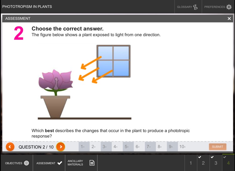 Phototropism in Plants screenshot-4