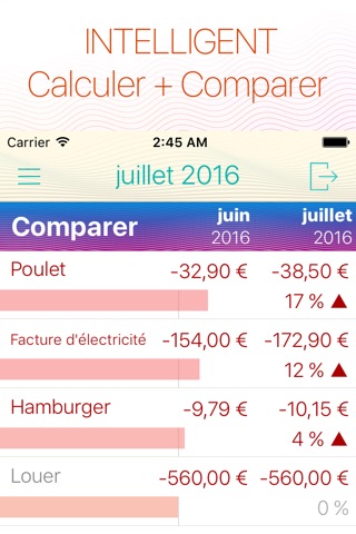 Frugi - Home Budget screenshot 4