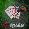Wuzzle Spider