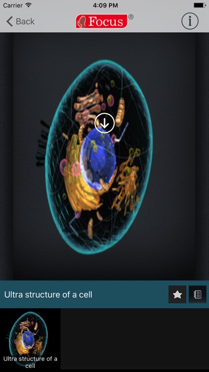 Animated Essential Atlas of Anatomy and Physiology