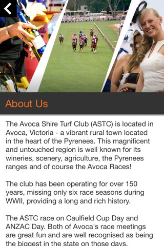 Avoca Races screenshot 2