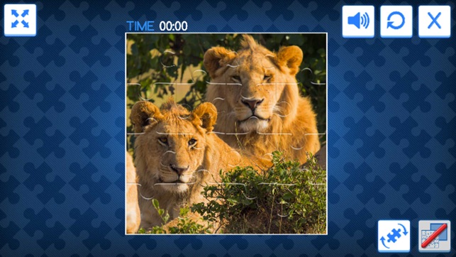 Jigsaw Deluxe - Animal Puzzle(圖1)-速報App
