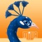 Help the Peacock