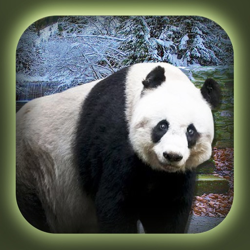 Can You Escape  Baby Panda Games iOS App