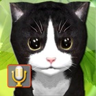 Top 50 Games Apps Like Talking Kittens, cats that can talk and repeat - Best Alternatives