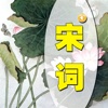 国学经典之宋词（有声字幕）