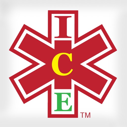 ICE Auto Insurance Standard Icon