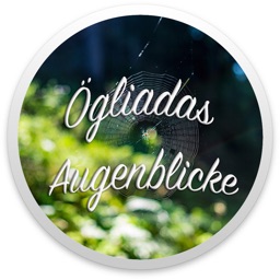 Ögliadas / Augenblicke