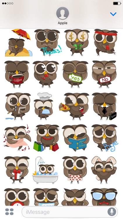 Cute Owl - Funny Owls