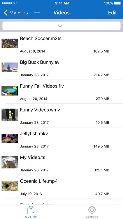 File Manager for iPhone