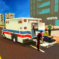 Activities of Realistic Ambulance 2017