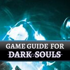 Activities of Game Guide for Dark Souls