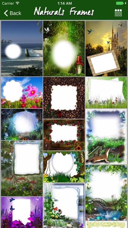 Nature Photo Frames - Natural, Greenery, Forrest