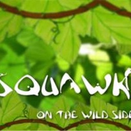 Squawk on the Wild Side