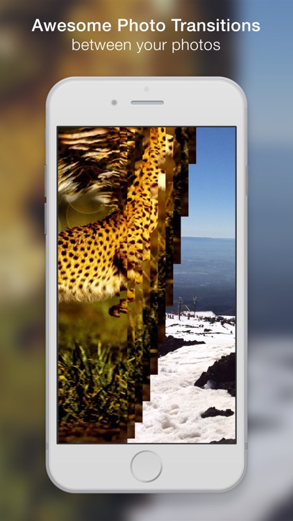 LivePapers - Live Wallpapers from your photos