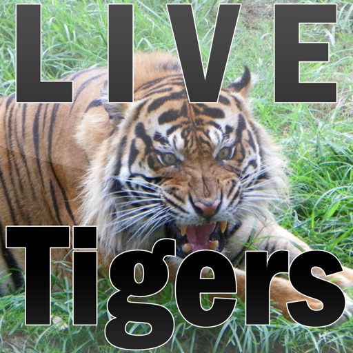 Straubing Livetigers