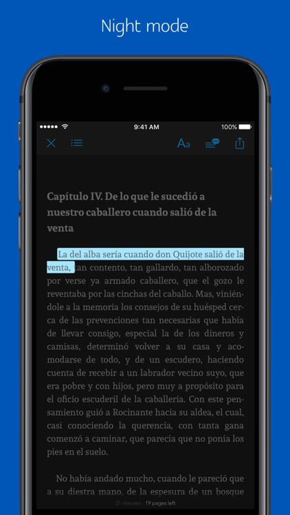 Don quixote - sync transcript, quiz