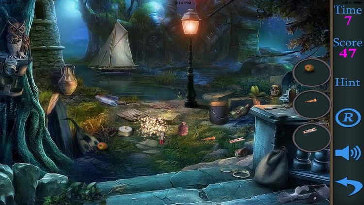 Hidden Objects Of A Dark Side Of The Forest screenshot-4