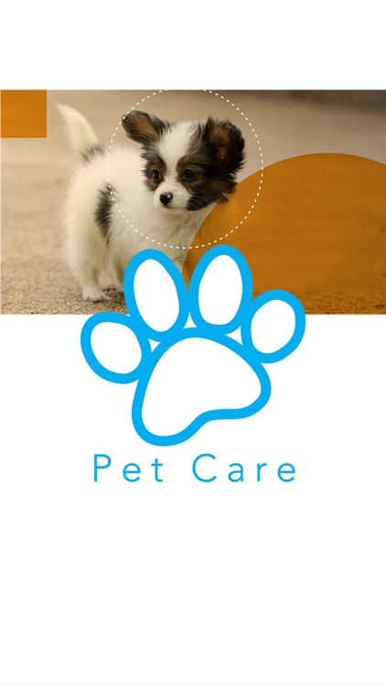 Pet Care Tips