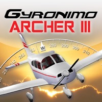 Piper Archer III Performance Pad pour PC