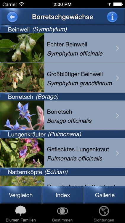 Blumen Id Automatik heimische Wildblumen bestimmen