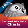 Functional Skills Maths Charts Pro