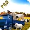 City Animal Transport & Cargo Truck Drive