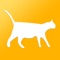 Learn about the many and interesting cat breeds with this useful app