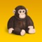 It can play flash carton movie animation on your iPhone and iPad