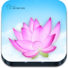 Top 19 Reference Apps Like Indian Flowers - Best Alternatives