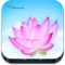 "Indian Flowers" app is an official flower application created by TheNatureWeb