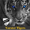 Vorster Tigers