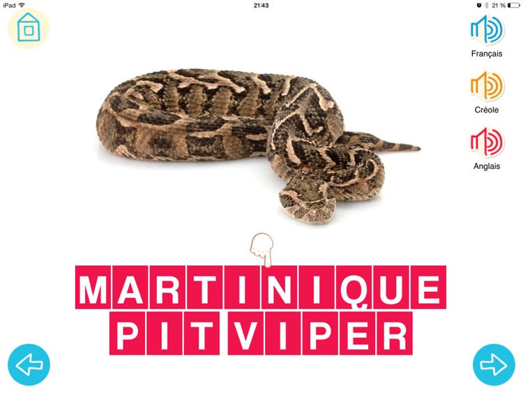 Créolapps - Mon imagier créole screenshot-4