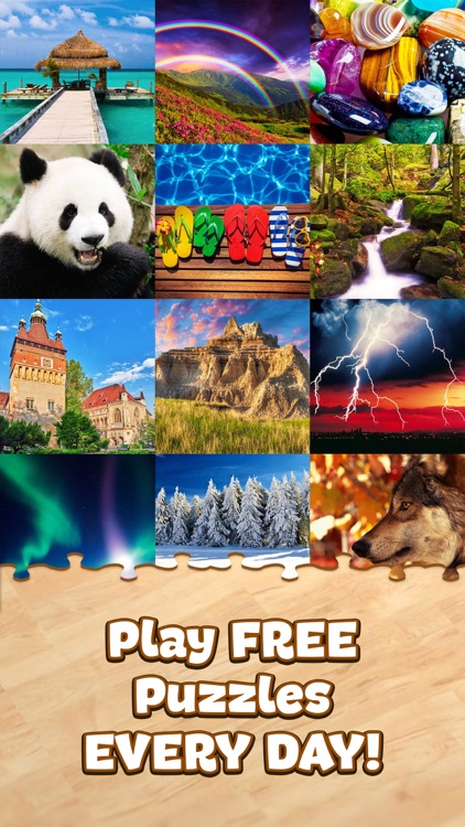 Jigsaw Puzzle Pro