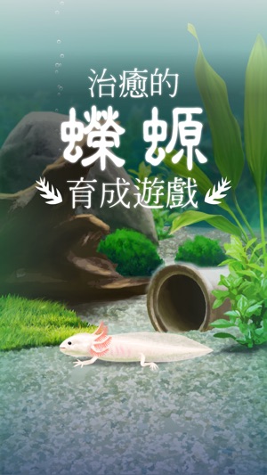 治癒的蠑螈育成遊戲