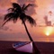 Relax in paradise with beautiful palm tree wallpapers