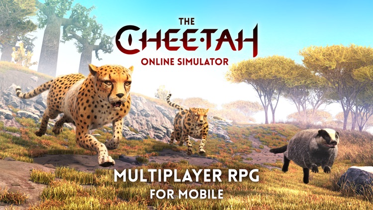 The Cheetah: Online RPG Simulator