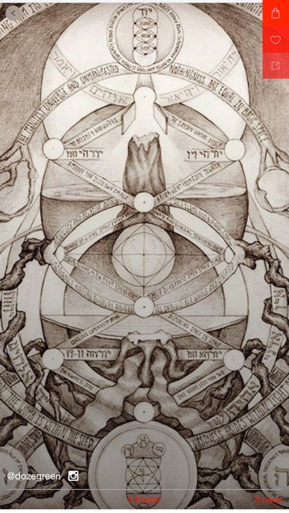 Beautiful Losers screenshot-3