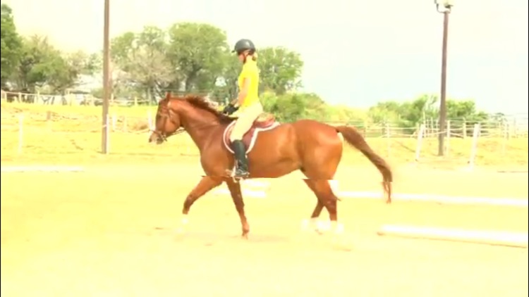 How To Ride A Horse screenshot-3