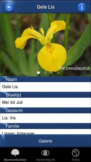 Wilde Bloemen Id NL Auto herkenning + determineren(圖5)-速報App