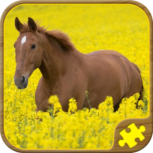 Horse Jigsaw Puzzles - Brain Training Games iOS App