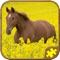 Horse Jigsaw Puzzles - Brain Training Games