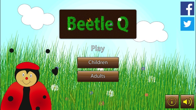 Beetle Q