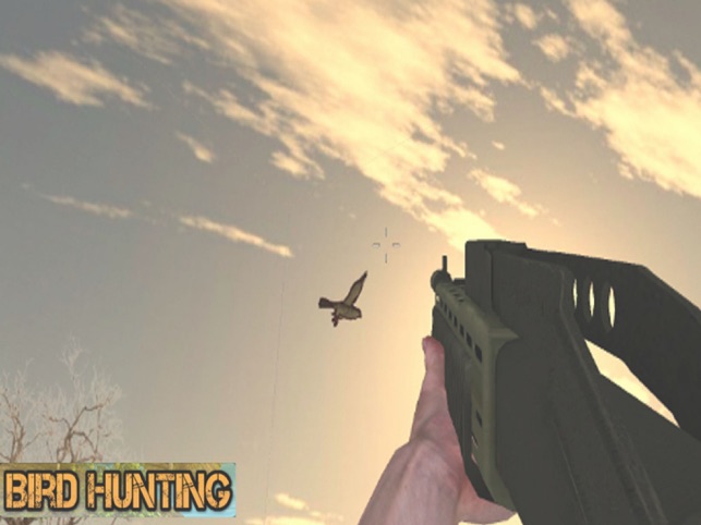 Birds Sniper Shooting, game for IOS
